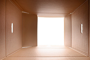 View from inside a cardboard box