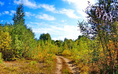 Fototapeta premium Unpaved road 