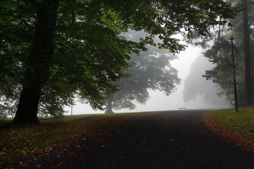 Early morning fog in park with bench in Hagaparken, Stockholm, Sweden