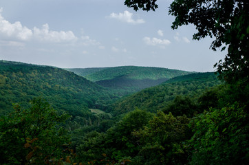 Fototapeta na wymiar Mountain landscape, wonderful forest on Mount germinating