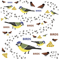 Titmouse pattern seed and wheat bird text