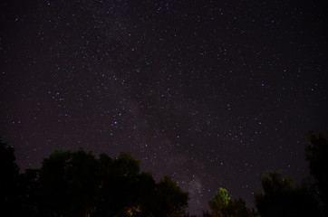 Fototapeta na wymiar beautiful night sky, the Milky Way and the trees
