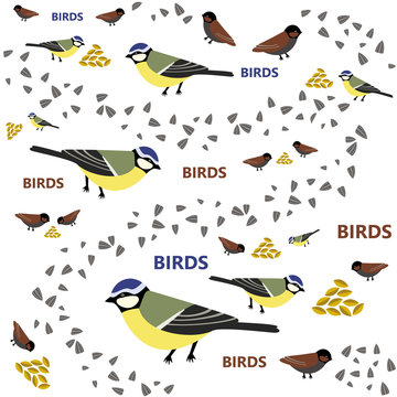 Titmouse Pattern Seed And Wheat Bird Text