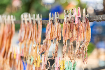 Dried squid, traditional squids drying under the sun in a idyllic fishermen village , Thailand