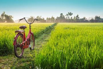 Papier Peint photo autocollant Vélo Vélo rouge avec fond de vue rurale