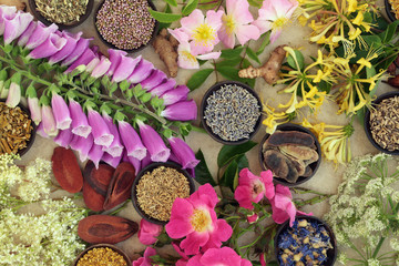 Medicinal Flower and Herb Selection. Used in natural alternative herbal medicine.