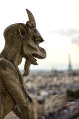 Fototapeta na wymiar Paris cityscape from Notre Dame