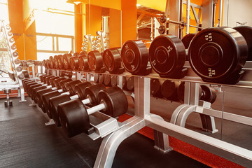 Various dumbbells in gym