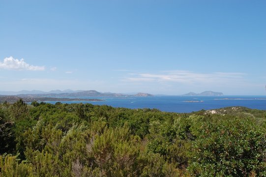 macchia mediterranea nei pressi di San Teodoro, Sardegna
