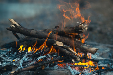 Bonfire in nature in tourism.