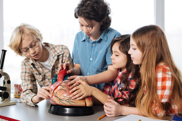 Determined biology students looking at human heart structure
