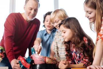 Lively sincere kids asking questions about heart functions