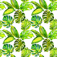 Obraz na płótnie Canvas Tropical Hawaii leaves palm tree pattern in a watercolor style isolated.