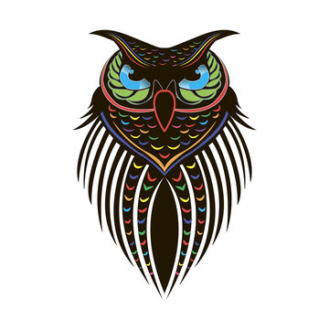 Colorful painted owl on white background, tattoo