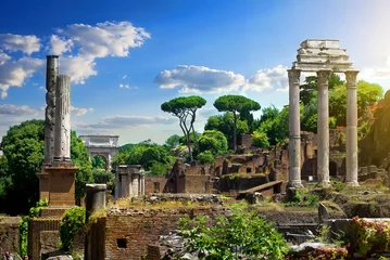 Foto op Canvas Verwoeste Forum Romanum © Givaga