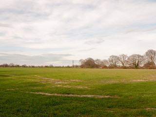 Lush Green Land with Trail Mark and Nice Skies