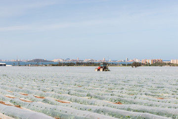 Naklejka premium Tractor on the field with greenhouses.