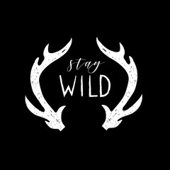 Hand drawn vector wild forest illustration