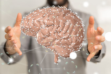 brain