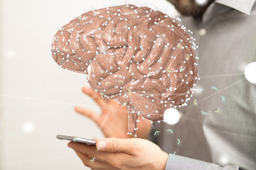 brain