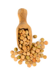 lentil isolated on white background