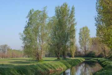 paesaggio di campagna