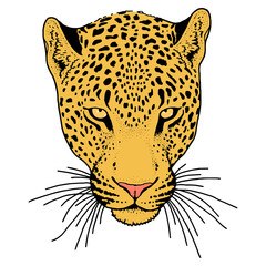Leopard face tattoo ,Vector illustration, print