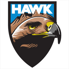 Hawk Eagle mascot emblem logo