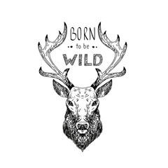 Hand drawn vector wild forest illustration