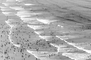 Surferzy na plaży - 142703048