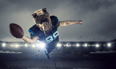 Furious rhinos team . Mixed media