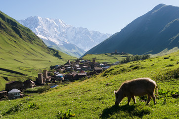 View of the high mountain village of Ushguli in Svaneti, Georgia