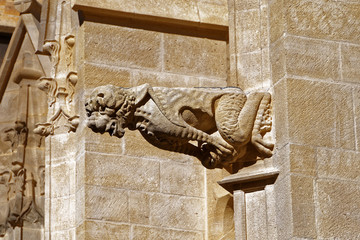 Gargouille cathédrale de Narbonne