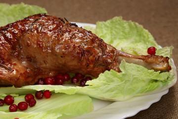 Roasted turkey leg with cranberry, rosemary and spices. Fowl meat. Fresh meal. Close up view.