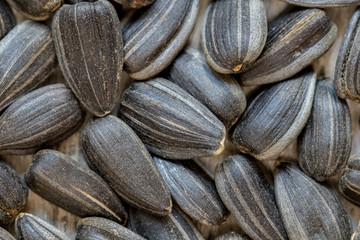 Black sunflower seeds. For texture or background