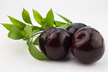 Fresh blue plums on white background