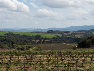 Naklejka premium Paisaje de Can Bou 2