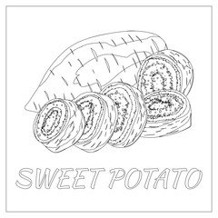 Sweet potato. Page for coloring book. Doodle, zentangle design.Vegetables. Vector illustration. Black and White sample.
