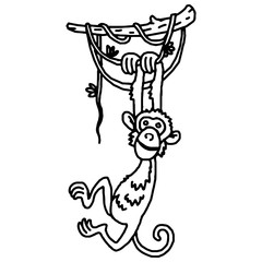 Cute baby monkey hanging on tree
