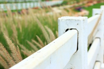 White fence on the farm