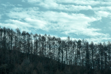 晩秋の旧中山道
