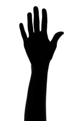 silhouette of palm showing number