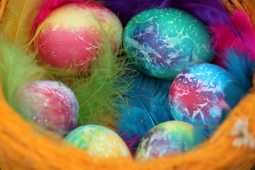 Colored easter eggs and colorful feathers in basket