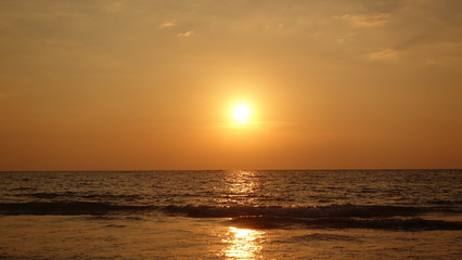 Reisen, Pflanzen, Natur