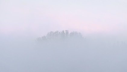 Delta of the Volga River at foggy sunrise, Russia