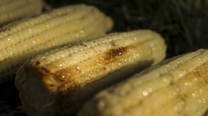 Corn grilled.