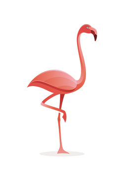 Flamingo Vector Logo