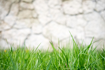 Macro shot of grass with stone wall on background.