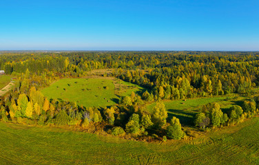 Autumn Park landscape. Aerial panoramic view of the autumn park.