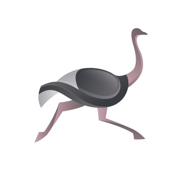 Ostrich Vector Logo